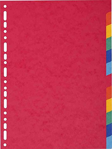 EXACOMPTA Karton-Register, DIN A4, 12-teilig VE=1