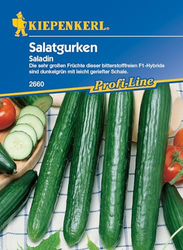 Sperli Gemüsesamen Gurken Saladin, F1, grün