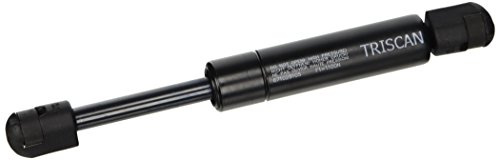 Triscan 8710 28105 Gas Spring, bonnet