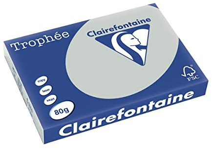 Clairefontaine 1994C - Ries mit 500 Blatt Druckerpapier / Kopierpapier Trophée, DIN A3 (29,7x42 cm), 80g, Stahlgrau Pastellfarbe, 1 Ries