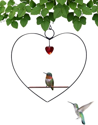 Songbird Essentials Kolibri-Schaukel Tweet Herz Birdie Schaukel schwarz Metall Kolibri Sitzstange