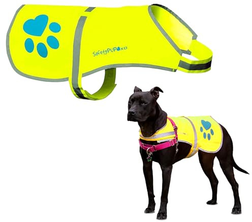 SafetyPUP XD Dog Reflective Vest – Hi-Vis Fluorescent Visibility that Helps to Safeguard Your Pet On/Off Leash in Urban & Rural Areas (Yellow, Large)