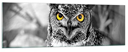Panorama Bilder auf Glas 160x50cm Glasbild Eule Vogel Natur Groß XXL Wanddeko Bild im Glas Schlafzimmer Küche Wandbilder Dekoration Wohnzimmer Modern Wall Decor Wand Kunstdruck Art GAB160x50-1318