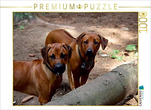 CALVENDO Puzzle Rhodesian Ridgeback | 1000 Teile Lege-Größe 64 x 48 cm Foto-Puzzle für glückliche Stunden
