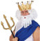 NET TOYS Zeus Perücke König Neptun mit Bart Herrenperücke Fasching Karnevalsperücke Olymp Zeusperücke, Einheitsgröße, Kunsthaar