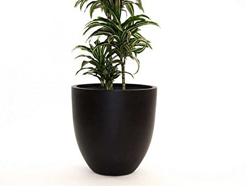 Pflanzkübel Fiberglas, rund konisch D60xH60cm elegant schwarz-matt.