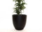 Pflanzkübel Fiberglas, rund konisch D60xH60cm elegant schwarz-matt.
