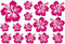 Samunshi® Hibiskus Aufkleber Creativ-Set Hibiskusblüten 30x20cm pink