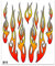 4R Quattroerre.it 911 Aufkleber Flammen, 20 x 24 cm, Mehrfarbig