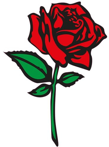 INDIGOS UG Auto Aufkleber Red Rose car 127mmx76mm