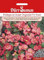 Eisbegonie Samen Begonien Super Olympia F1 rosa Eisbegoniesamen ca 100 Pillen Saatgut Dürr Samen Garten Balkon Einjährig