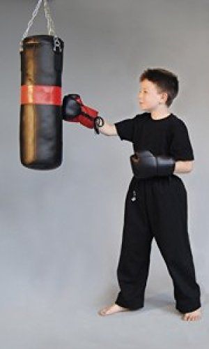 Budodrake Junior Boxsack-Set, gefüllt 8kg + Boxhandschuhe, für Kinder