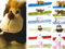 HOME 9531600 Set 6 Zugluftstopper Animals Assort Arredo und Complementi Casa