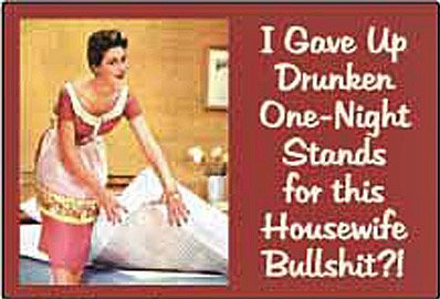 signs-unique I Gave Up Drunken One Night Stands? funny fridge magnet