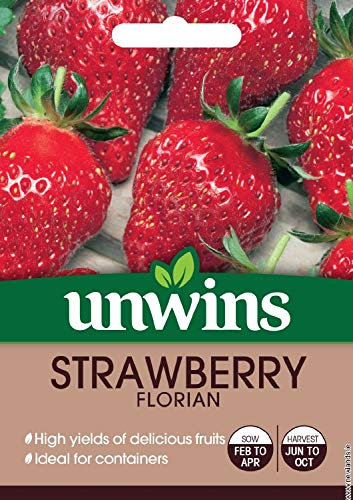 Unwins Strawberry Florian Seeds