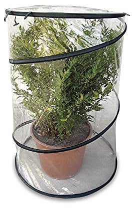 VERDELOOK | Miniserra Pop-Up con Struttura in PVC Altezza 110 cm Diametro 70 cm, Richiudibile, Portatile, per Piante di Piccole Dimensioni, Salvaspazio, Adatta a Balconi e Terrazze