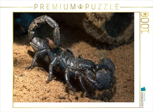 CALVENDO Puzzle Gefährlicher Krieger | 1000 Teile Lege-Größe 64 x 48 cm Foto-Puzzle für glückliche Stunden