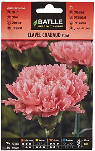 Semillas Batlle Garofano Chabaud Rosa