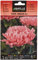 Semillas Batlle Clavel Chabaud ROSA