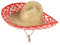DEGUISE TOI Mexikanischer Sombrero für Erwachsene Strohhut beige-rot - Bunt