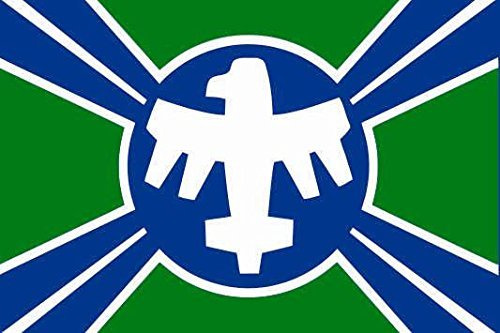 U24 Aufkleber Starship Troopers Federation Flagge Fahne 15 x 10 cm Autoaufkleber Sticker