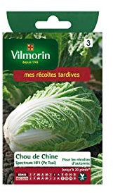 Vilmorin - Sachet graines Chou de chine Spectrum HF1 (PE TSAI)