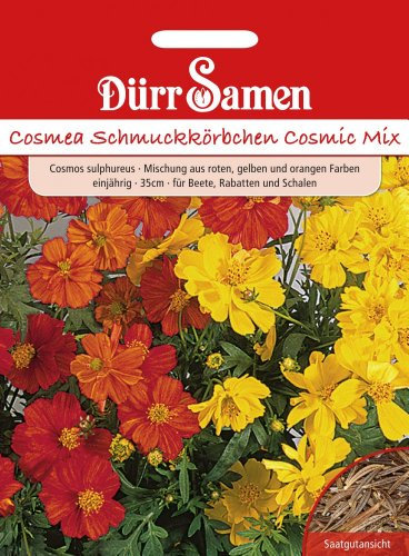 Dürr Samen 0984 Cosmea Cosmic Mix (Cosmeasamen)