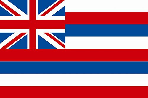 U24 Bandiera Hawaii 90 x 150 cm