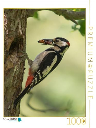 CALVENDO Puzzle EIN Motiv aus dem Kalender Besucher im Garten - Vögel | 1000 Teile Lege-Größe 48 x 64 cm Foto-Puzzle für glückliche Stunden