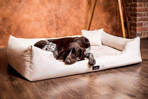 tierlando® Orthopädisches Hundebett Pluto Ortho VISCO Viscoschaum aus weichem Velours (PL3 | M+ | 90x75 cm, 05 Beige)
