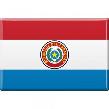 Magnet - Länderflagge Paraguay - Gr.ca. 8x5,5 cm - 37804 - Küchenmagnet