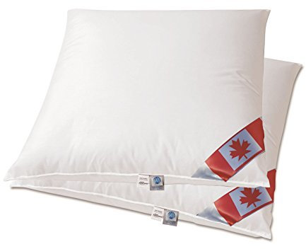 betten-traum-land betten-traum-land 2 x Premium Air Cell 3-Kammer-Kissen Außen: 100 Daunen, Canada Dreams 80 x 80 cm. Neue Technologie für Unterstützung und Luftzirkulation.