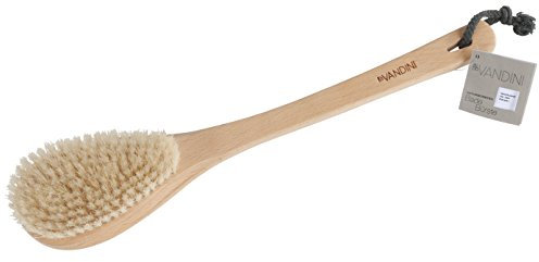 aldoVANDINI MASSAGE Naturborsten Bade Bürste - 1er Pack (1 x 1 Stück)