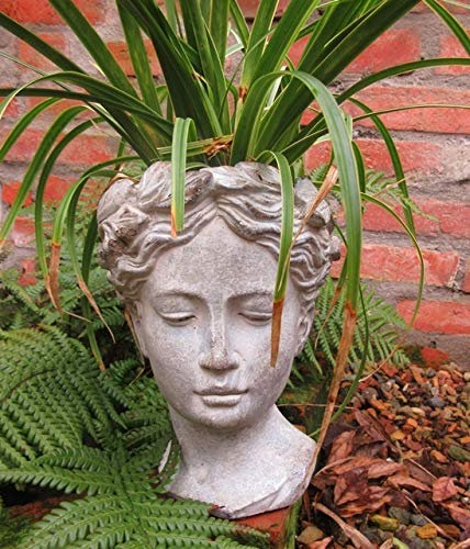 Unbekannt Garten BÜSTE Statue Frau Figur PFLANZTOPF BLUMENTOPF LANDHAUSSTIL Kopf PFLANZKOPF DR-1224gr