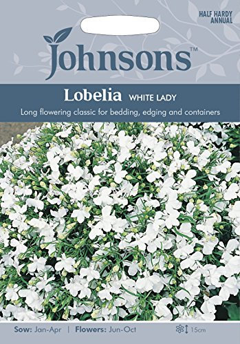 Johnsons 16074 Flower Seeds, Lobelia White Lady