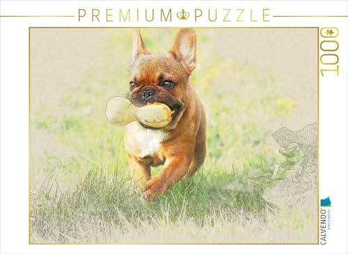 CALVENDO Puzzle EIN Motiv aus dem Kalender Französische Bulldoggen 2017 | 1000 Teile Lege-Größe 64 x 48 cm Foto-Puzzle für glückliche Stunden