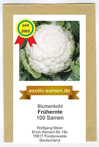 Blumenkohl - Frühernte - 100 Samen