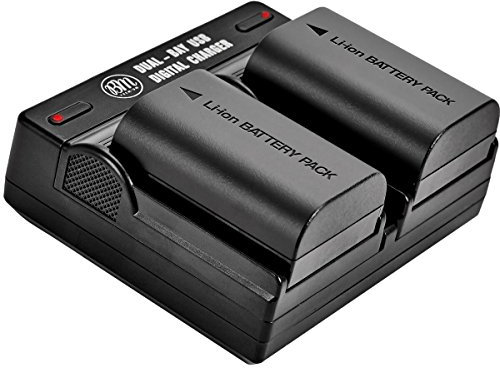 BM 2-Pack of LP-E6N Batteries and Dual Battery Charger for Canon EOS R, 90D, 60D, 70D, 80D, 5D II, III, IV, 6D, 7D, 7D Mark II, XC10, XC15 Cameras