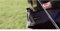 Wychwood - Game Fly Line Tray
