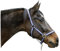 Covalliero Nylonhalfter Hippo, Halfter Nylon großes Warmblut, Marine/Hellblau
