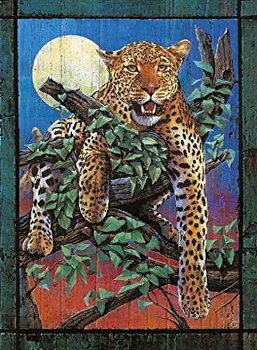 Clementoni 5308811 - Wild Night, 1000 Teile