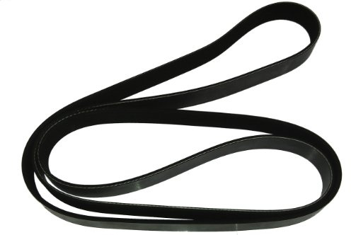Dayco 8PK1600HD Keilrippenriemen