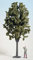 Noch - 68032 - Modélisme Ferroviaire - Arbre Feuillu 40 Cm