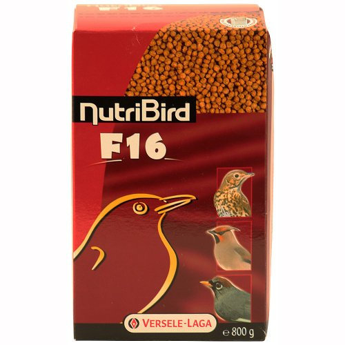Versele-Laga NutriBird F16 | 800 g | Erhaltungsfutter für Frucht- und insektenfressende Vögel | Zur Verhinderung von selektivem Fressverhalten | Geringer Eisengehalt