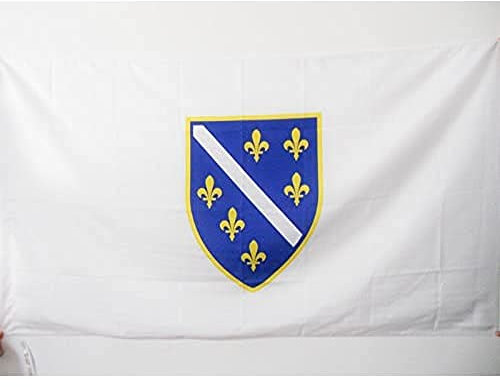 AZ FLAG - Flagge Bosnien-Herzegowina 1992-1998 - 90x60 cm - Bosnische Fahne 60 x 90 Cm Scheide Für Mast - Flaggen