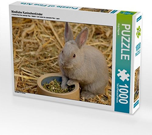 CALVENDO Puzzle Niedliche Kaninchenkinder | 1000 Teile Lege-Größe 64 x 48 cm Foto-Puzzle für glückliche Stunden