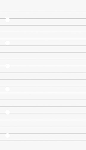 Brunnen 106600101 Inserti per raccoglitori ad anelli (7,4 x 12,8 cm, a righe, 50 fogli, 70 g/m²)