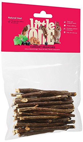 Little One Johannisbeerzweige | 50 g | Einzelfuttermittel für Nager und Zwergkaninchen | Zur Unterstützung der Zahnpflege & der Abnutzung | Reich an Vitaminen und Mineralstoffen
