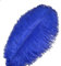 Sowder 10pcs Strauß-Federn 12-14inch (30-35cm) für Haupthochzeits-Dekoration (königliches Blau)
