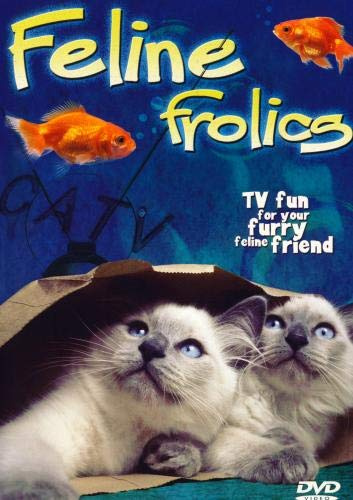 Feline Frolics [DVD] [Import]